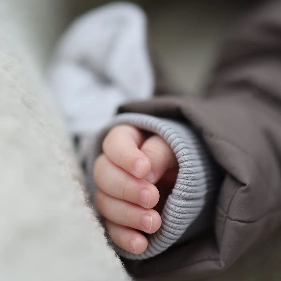 Talve kombe pruun Bunnybox.fr - Image 2